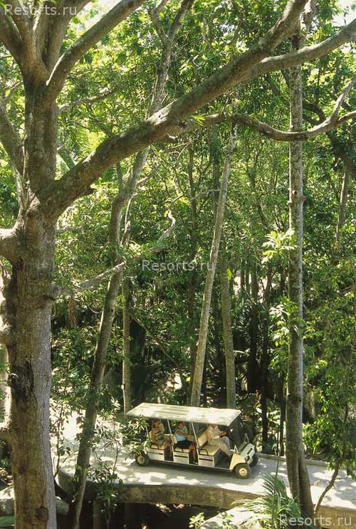 Lemuria Resort Deluxe 20
